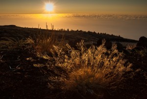 HJM, La Palma, "Der Blick nach Westen"